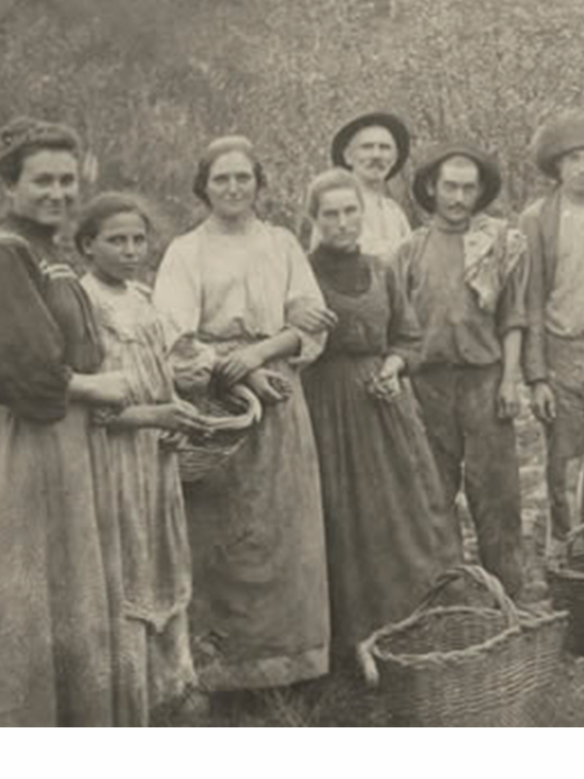 1875