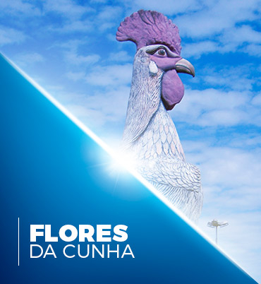 Convenção Coletiva Flores da Cunha - 2017/2018 