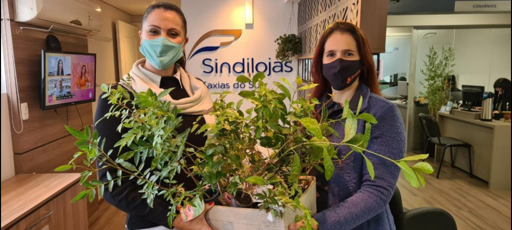Dia do Meio Ambiente é celebrado com distribuição de mudas no Sindilojas Caxias
